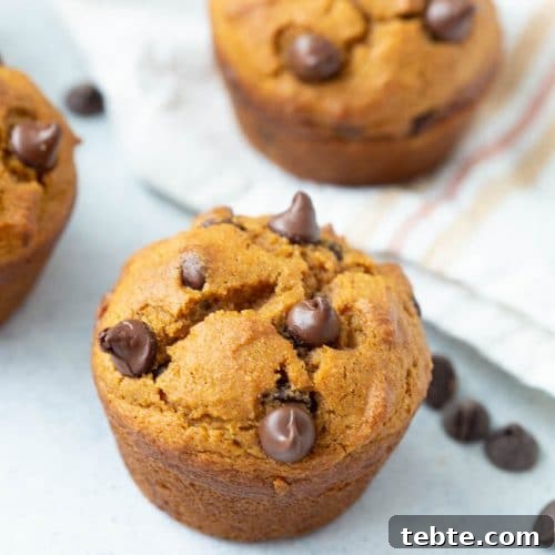 Chocolate Chip Pumpkin Muffins