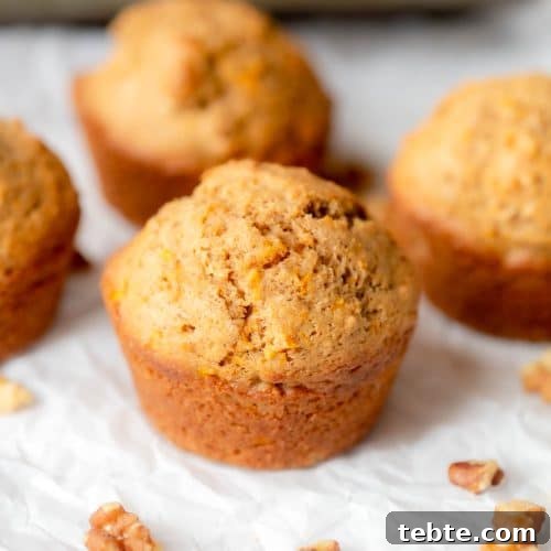 Butternut Squash Muffins
