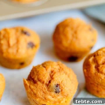 High-Protein Pumpkin Muffins for Muscle Fuel and Fall Baking 10 Protein Pumpkin Muffins