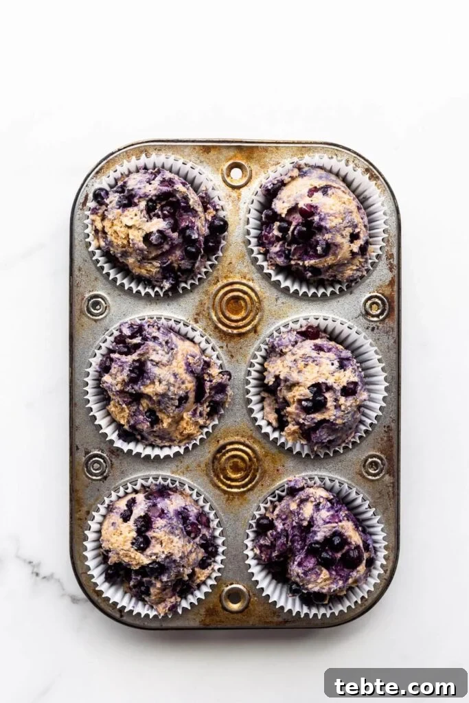 Why Are Blueberries Turning Green in Muffins? 3 Blueberry bran muffins divided between paper liners in a vintage muffin pan