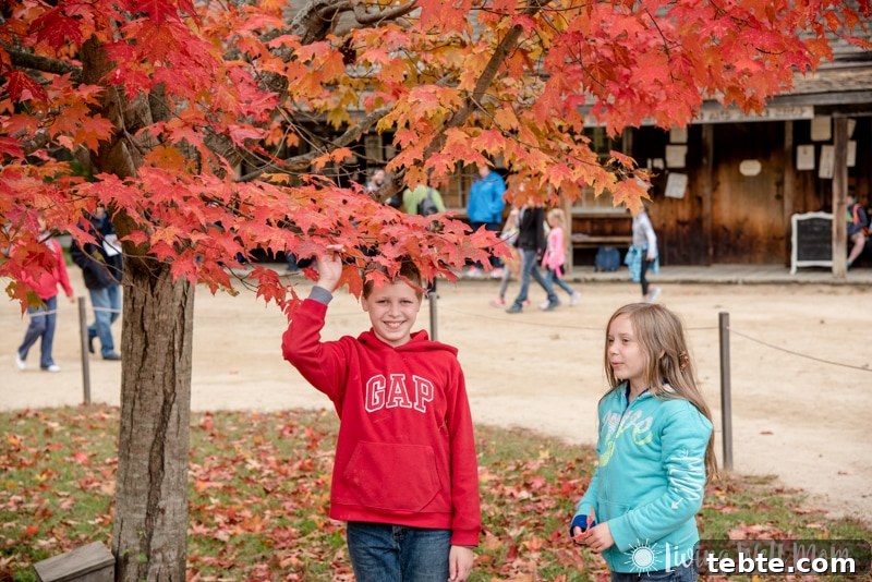 10 Compelling Reasons to Visit Old Sturbridge Village PMID 25 151011-9198
