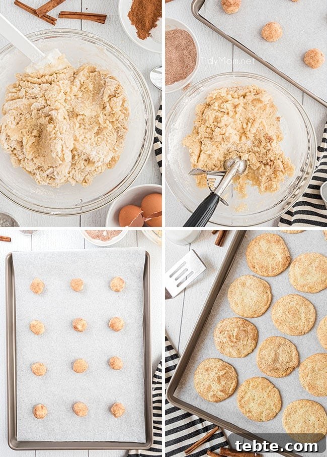Perfect Snickerdoodle Cookies Recipe with Video Tutorial 4 photo collage of steps on how to make snickerdoodles