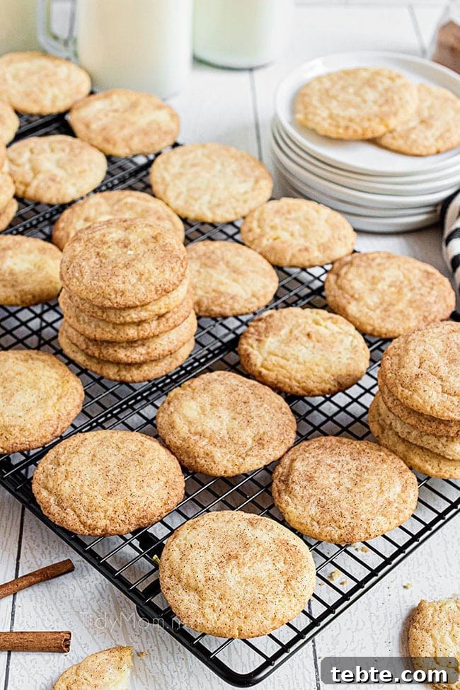 Perfect Snickerdoodle Cookies Recipe with Video Tutorial 5 cookies cooling on a wire rack