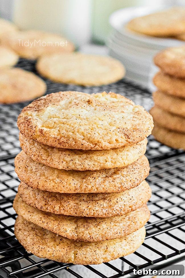 Perfect Snickerdoodle Cookies Recipe with Video Tutorial 6 Six snickerdoodles stacked together sitting on a cooling rack