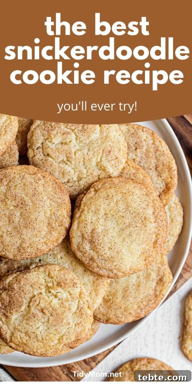 Perfect Snickerdoodle Cookies Recipe with Video Tutorial 8 cookies stacked on a white plate