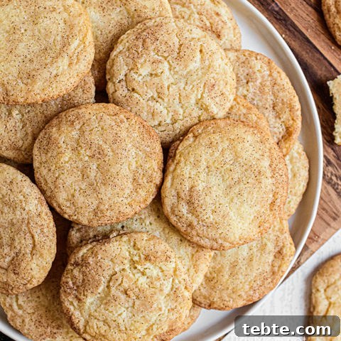 a pile of snickerdoodles on a plate