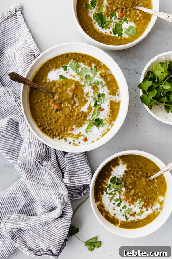 Slow Cooker Curried Lentil Soup - an EASY flavorful lentil soup flavored with turmeric, ginger, cardamom, cloves, cinnamon, and coconut milk.