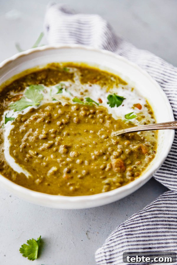 Slow Cooker Curried Lentil Soup - an EASY flavorful lentil soup flavored with turmeric, ginger, cardamom, cloves, cinnamon, and coconut milk.