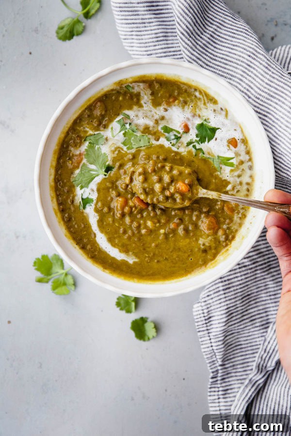 Slow Cooker Curried Lentil Soup - an EASY flavorful lentil soup flavored with turmeric, ginger, cardamom, cloves, cinnamon, and coconut milk. 