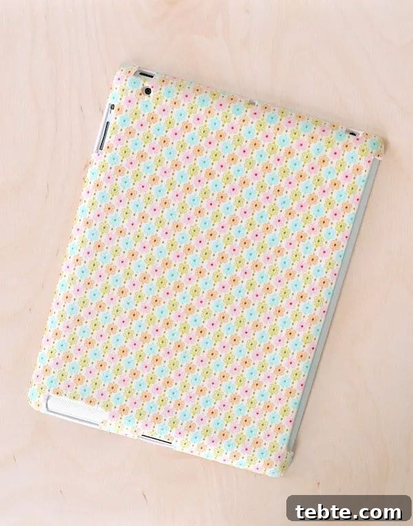 IPAD Case