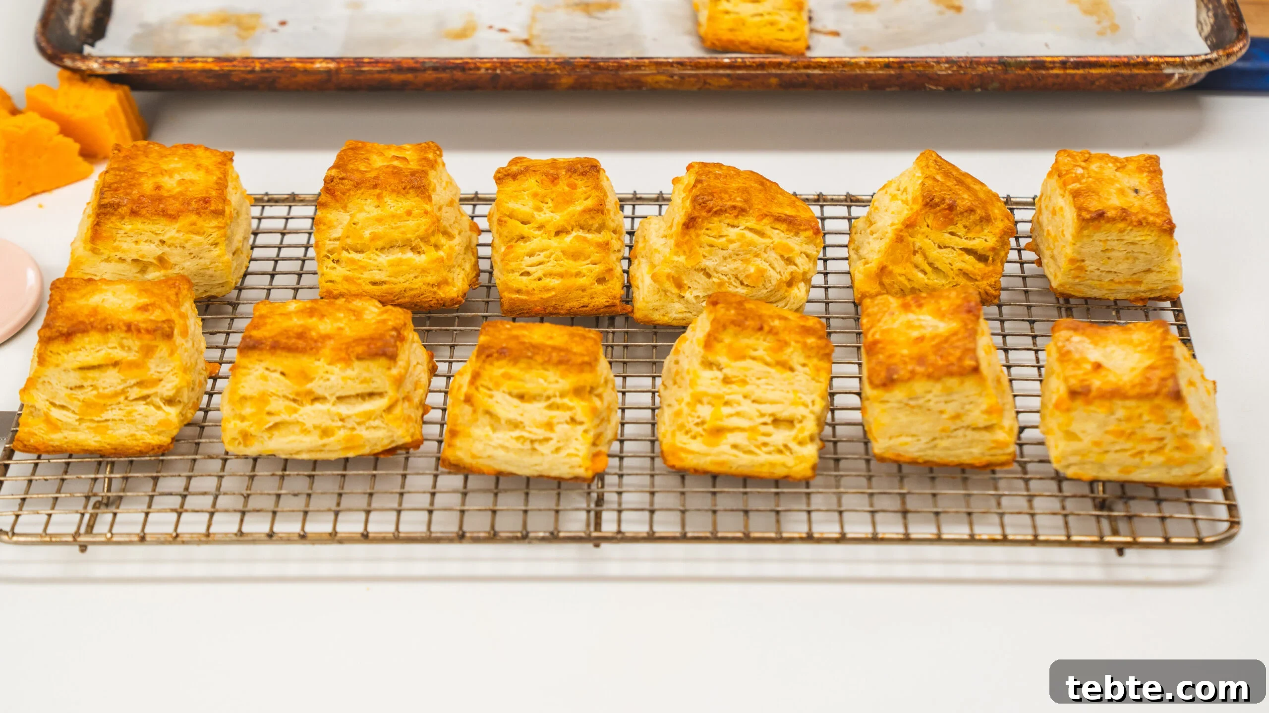 Buttermilk biscuits sitting on a cooling rack.