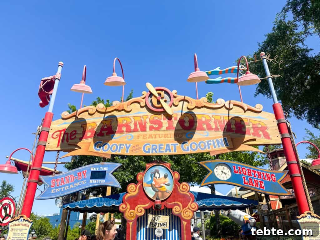 The Barnstormer