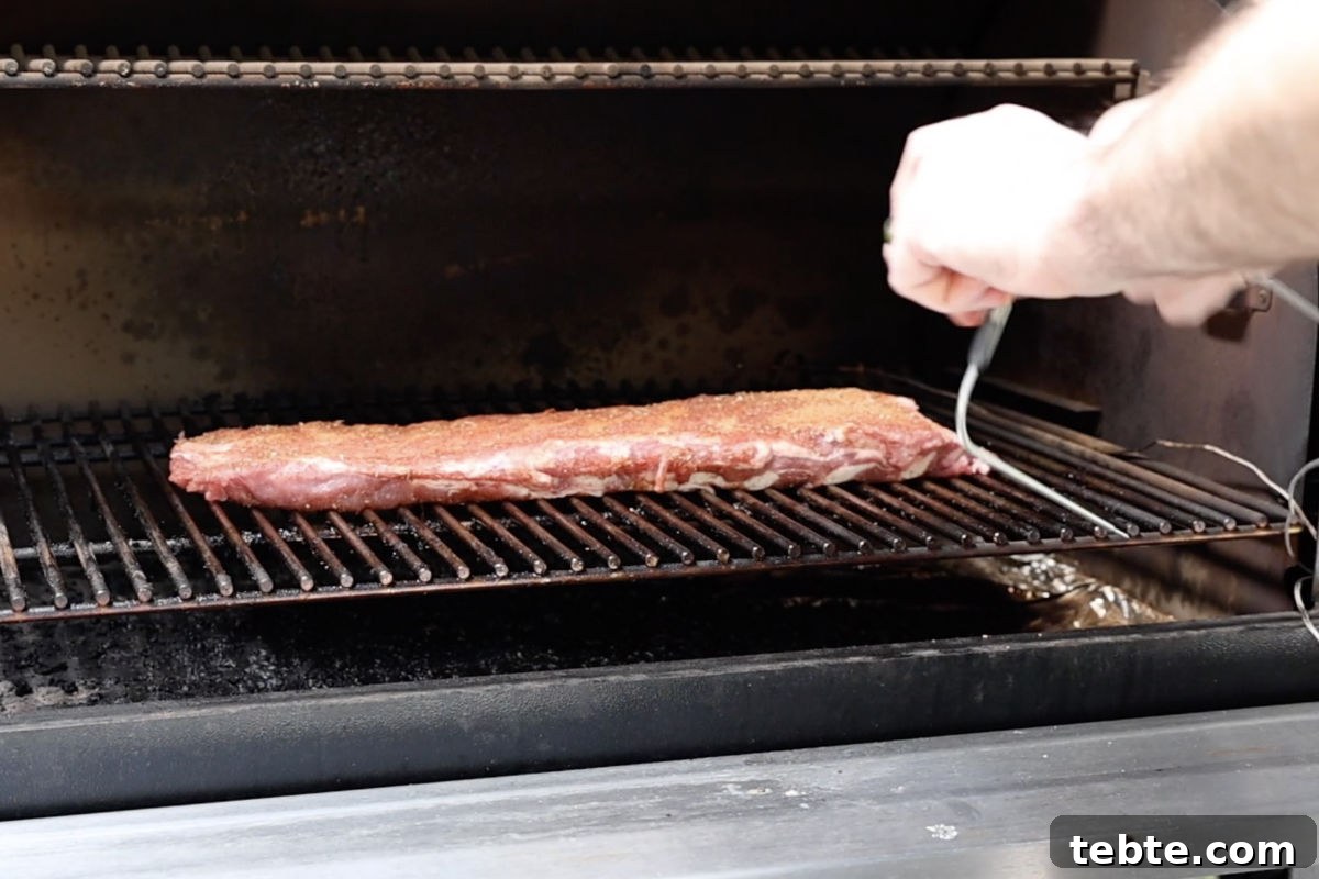 3-2-1 Smoked Ribs Recipe: Perfect Tender Fall-Off-the-Bone Ribs 6 pork spare ribs on the Traeger pellet grill