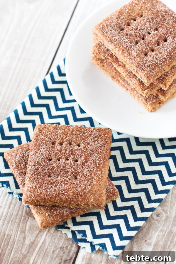Gluten-Free Vegan Cinnamon Sugar Graham Crackers Recipe 3 Gluten Free Vegan Cinnamon Sugar Graham Crackers. A beloved childhood snack, with a little sweet cinnamon topping!