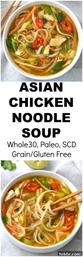 Spicy Chicken and Vegetable Noodle Soup Recipe 3 img 4343 10