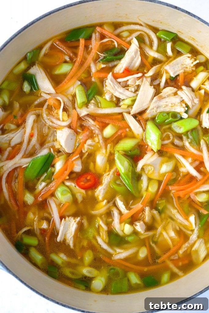 Paleo Asian Noodle Soup