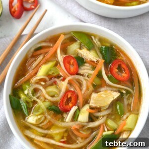 Spicy Chicken and Vegetable Noodle Soup Recipe 2 img 4343 7