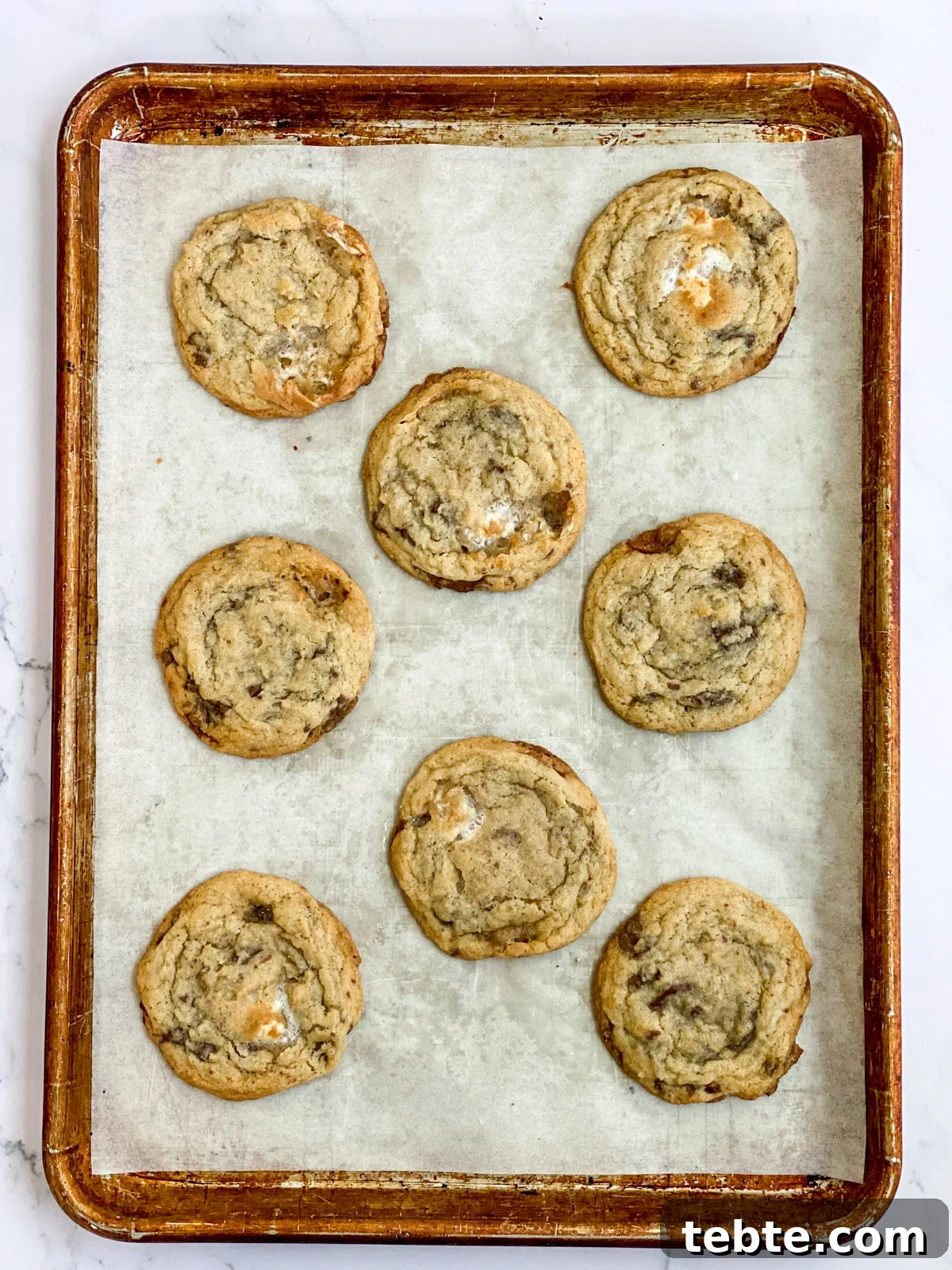 Chewy Chocolate Chip Cookies with Gooey Marshmallow Filling 10 chocolate chip marshmallow cookies after baking.