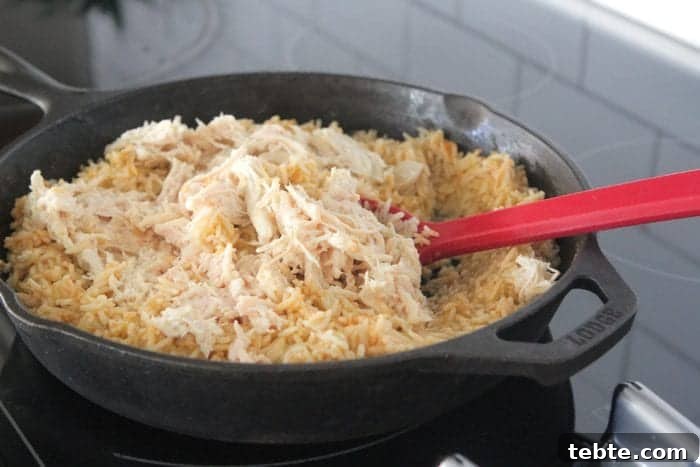 Salsa Verde Chicken Taco Rice Skillet Recipe for Quick Dinners 6 Salsa Verde Chicken Taco Rice Skillet