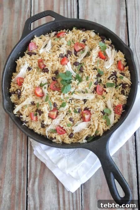 Salsa Verde Chicken Taco Rice Skillet Recipe for Quick Dinners 8 Salsa Verde Chicken Taco Rice Skillet