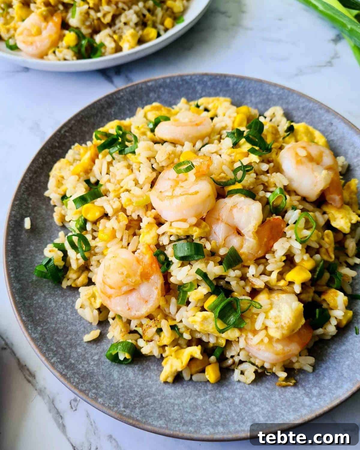 Garlic Shrimp Fried Rice Recipe – Quick Weeknight Stir-Fry 2 Side view of a plate of prawn/shrimp fried rice