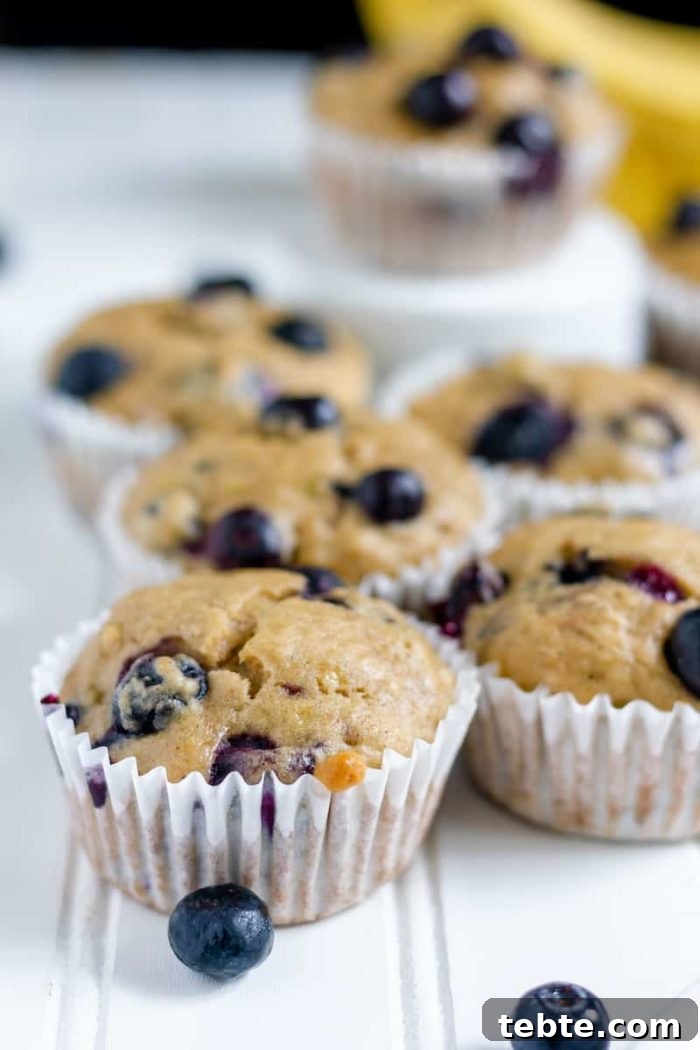 Gluten-Free Blueberry Banana Muffins Recipe for Moist, Tender Muffins 4 Image shows several blueberry muffins close up