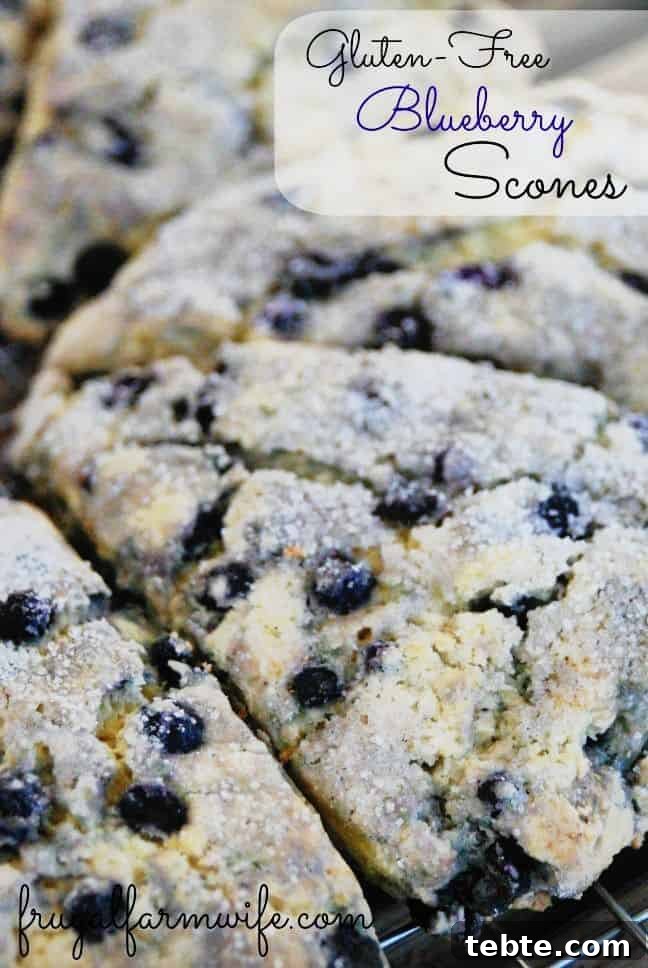 Gluten-Free Blueberry Banana Muffins Recipe for Moist, Tender Muffins 6 Image shows a close up of a blueberry scone with text that reads "Gluten-Free Blueberry Scones"