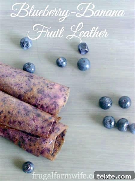 Gluten-Free Blueberry Banana Muffins Recipe for Moist, Tender Muffins 7 Image shows several pieces of fruit leather rolled on a table with text that reads "Blueberry-Banana Fruit Leather"