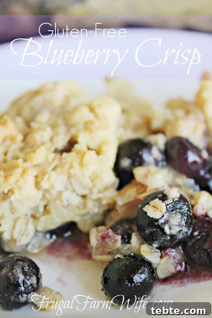 Gluten-Free Blueberry Banana Muffins Recipe for Moist, Tender Muffins 8 Image shows a close up of blueberry crisp with text that reads "Gluten-Free Blueberry Crisp"