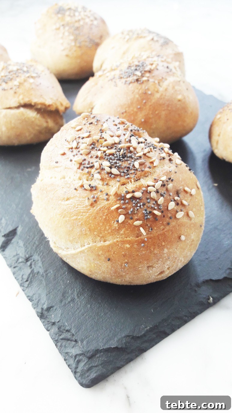 Whole Grain Burger Buns: Soft, Nutritious Recipe for Homemade Bread 3 Two seed wholewheat buns. A Hedgehog in the Kitchen. www.ahedgehoginthekitchen.com.