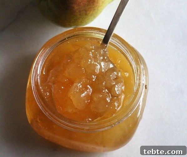 30+ Proven Methods for Preserving Apples All Year Round 14 Apple preserves or Apple Jam