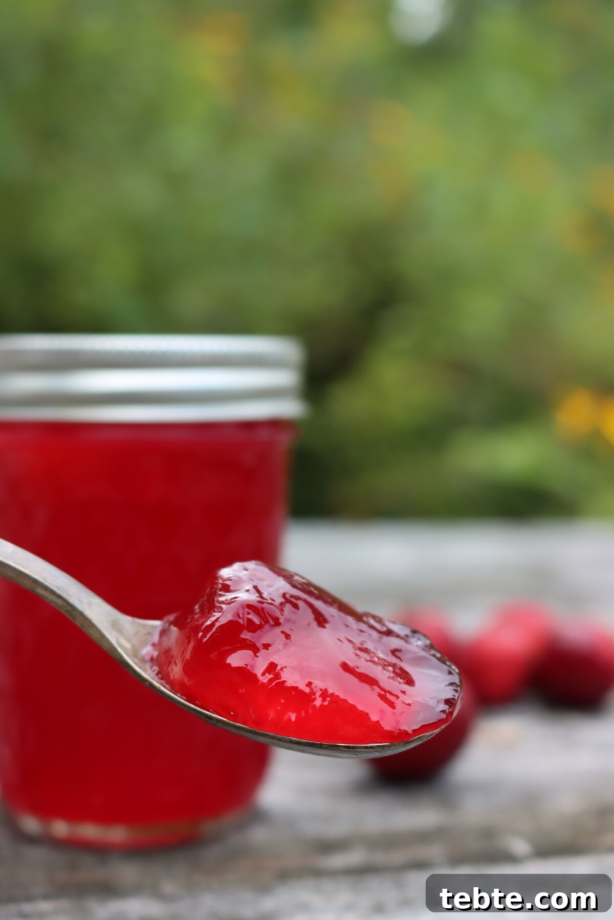 30+ Proven Methods for Preserving Apples All Year Round 15 Crabapple Jelly without pectin