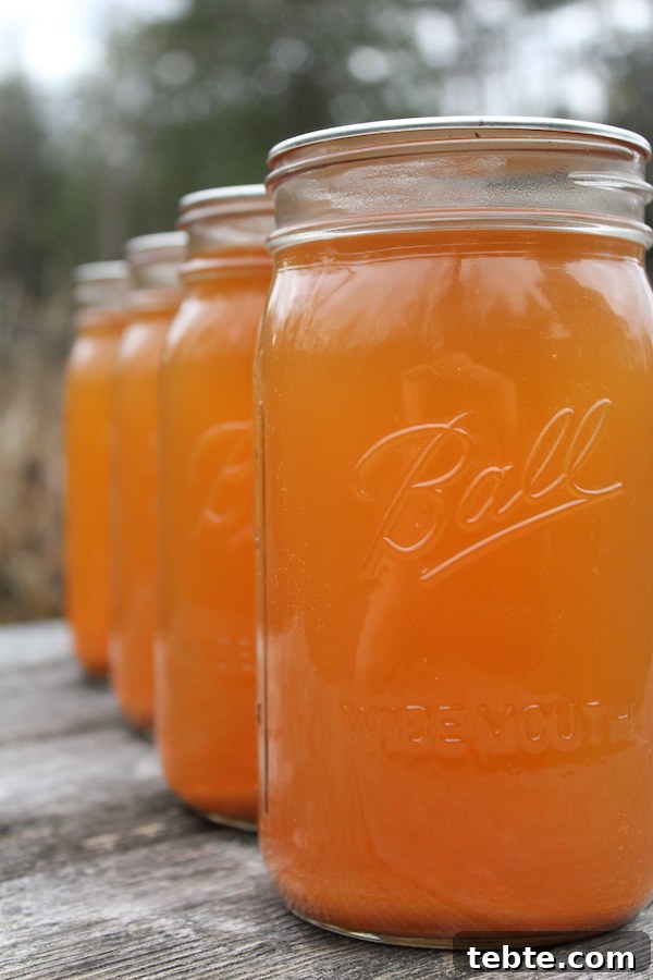 30+ Proven Methods for Preserving Apples All Year Round 16 Four jars of home canned apple cider