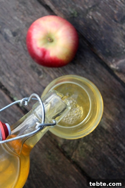 30+ Proven Methods for Preserving Apples All Year Round 19 Homemade Hard Cider