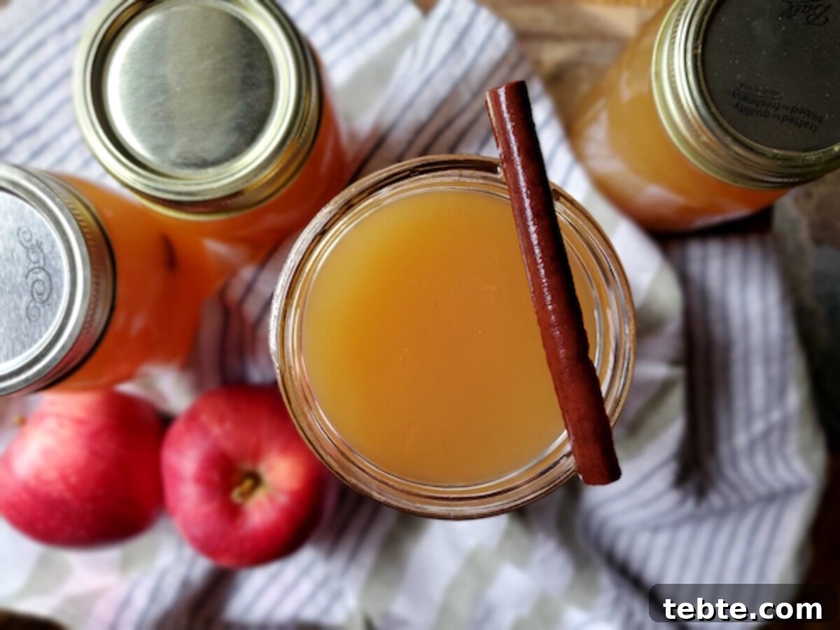 30+ Proven Methods for Preserving Apples All Year Round 24 Apple Pie Moonshine (Image Courtesy of A Farm Girl in the Making)