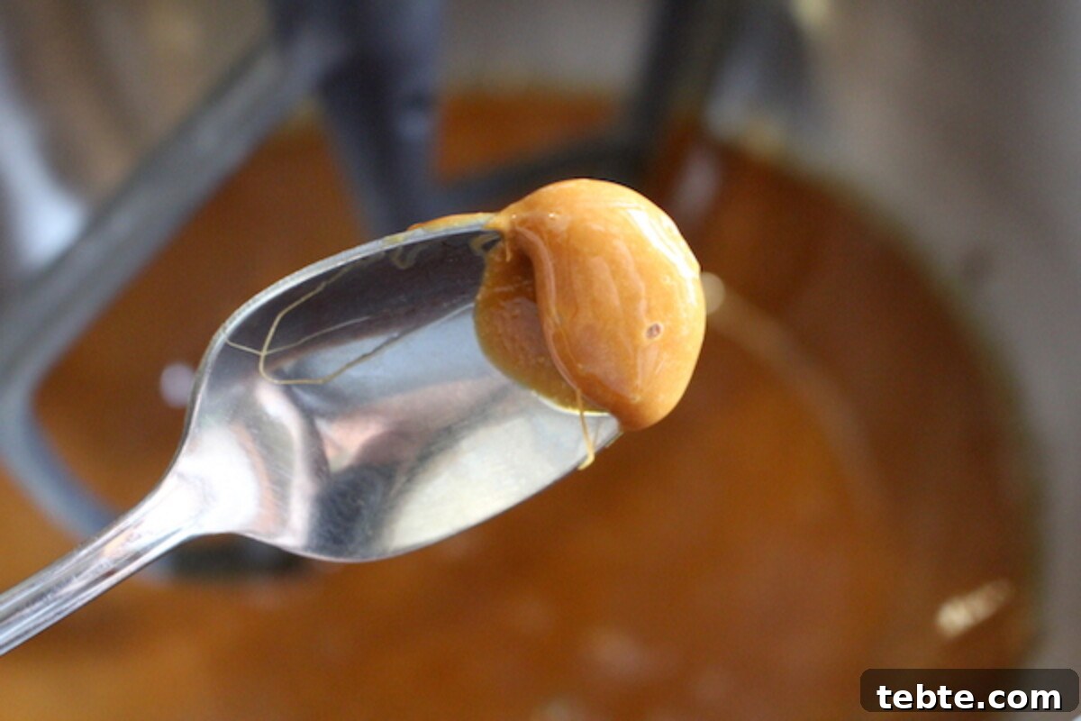 30+ Proven Methods for Preserving Apples All Year Round 27 Whipping boiled cider into apple caramel (hoping for apple sugar)
