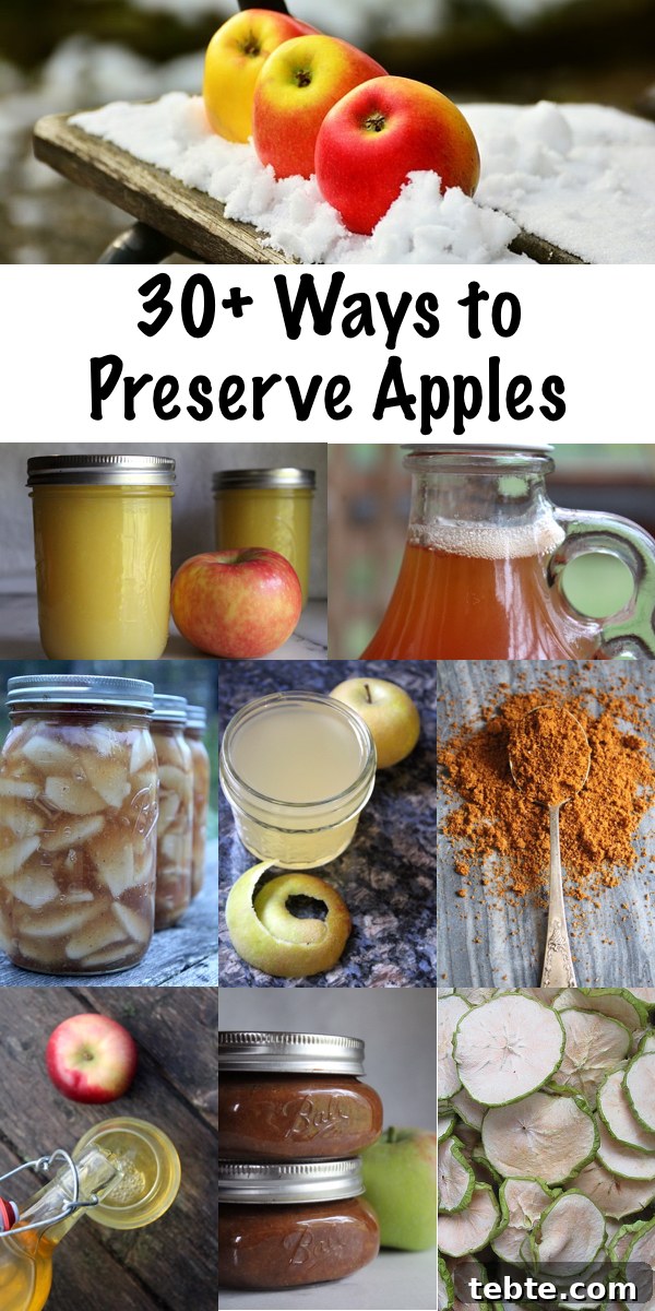 30+ Proven Methods for Preserving Apples All Year Round 28 30+ Ways to Preserve Apples ~ Historical and modern apple preservation techniques to put up the apple harvest this fall.