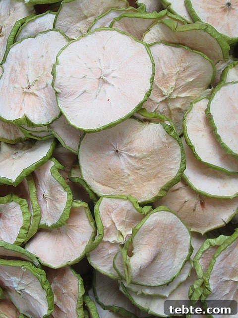 30+ Proven Methods for Preserving Apples All Year Round 4 Dried apple rings as a historical apple preservation method