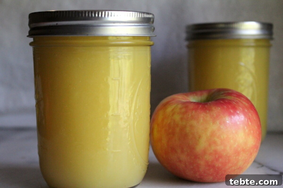 30+ Proven Methods for Preserving Apples All Year Round 8 Home Canned Applesauce