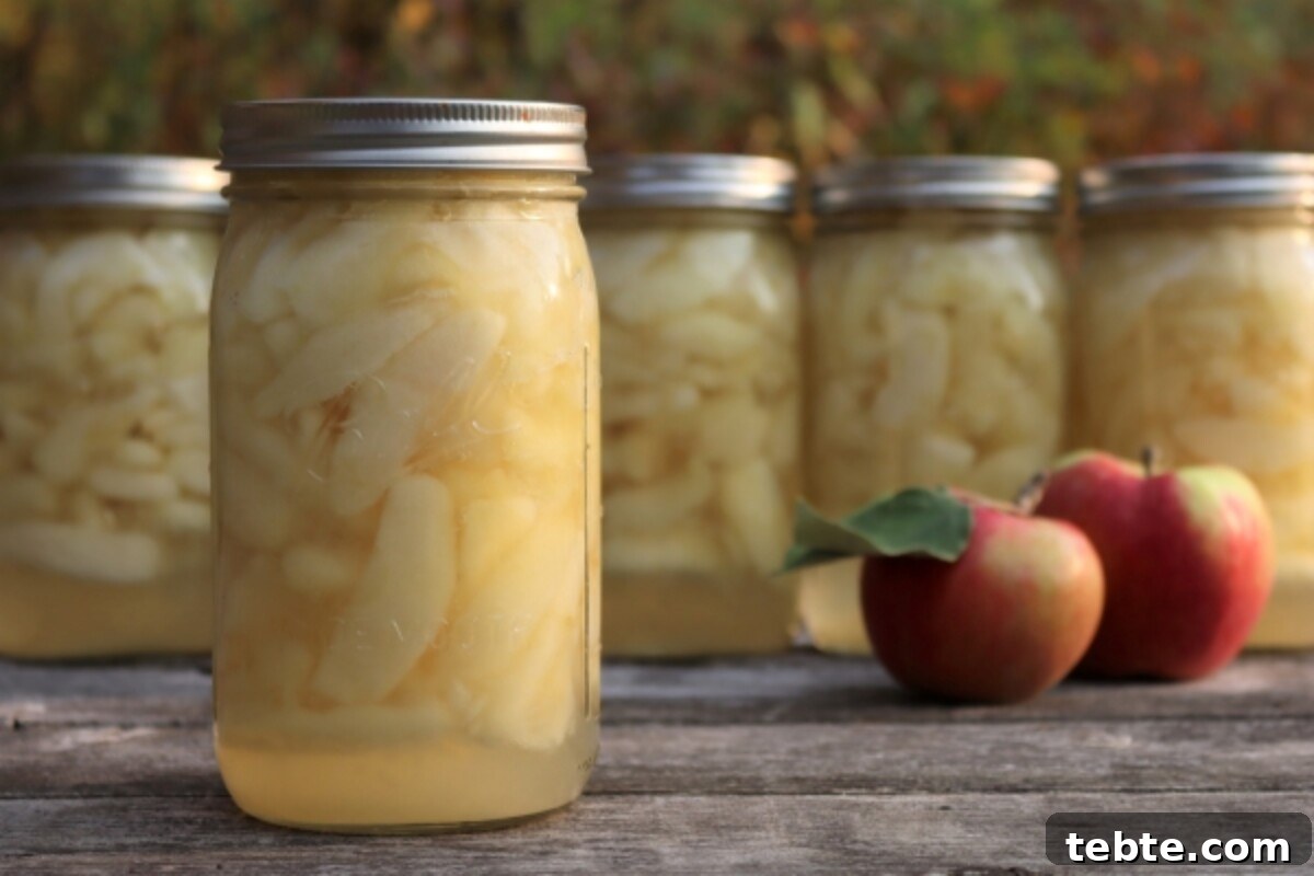 30+ Proven Methods for Preserving Apples All Year Round 9 Canning Apple Slices