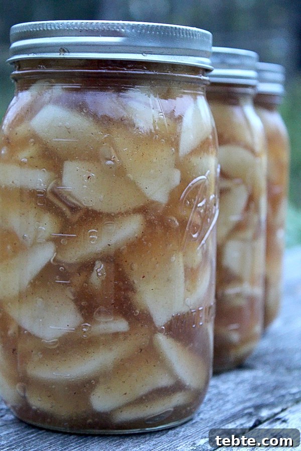 30+ Proven Methods for Preserving Apples All Year Round 10 Apple Pie Filling Recipe for Canning