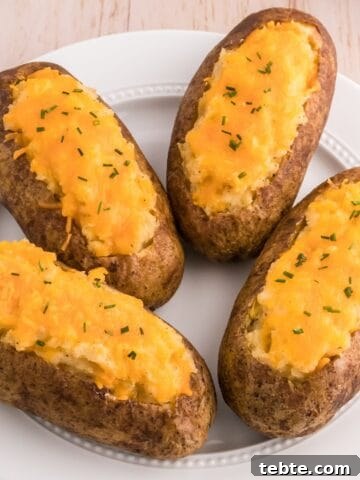 Classic twice baked potatoes topped with cheddar cheese and chives on a serving plate.
