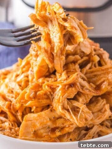 A forkful of shredded bbq chicken.