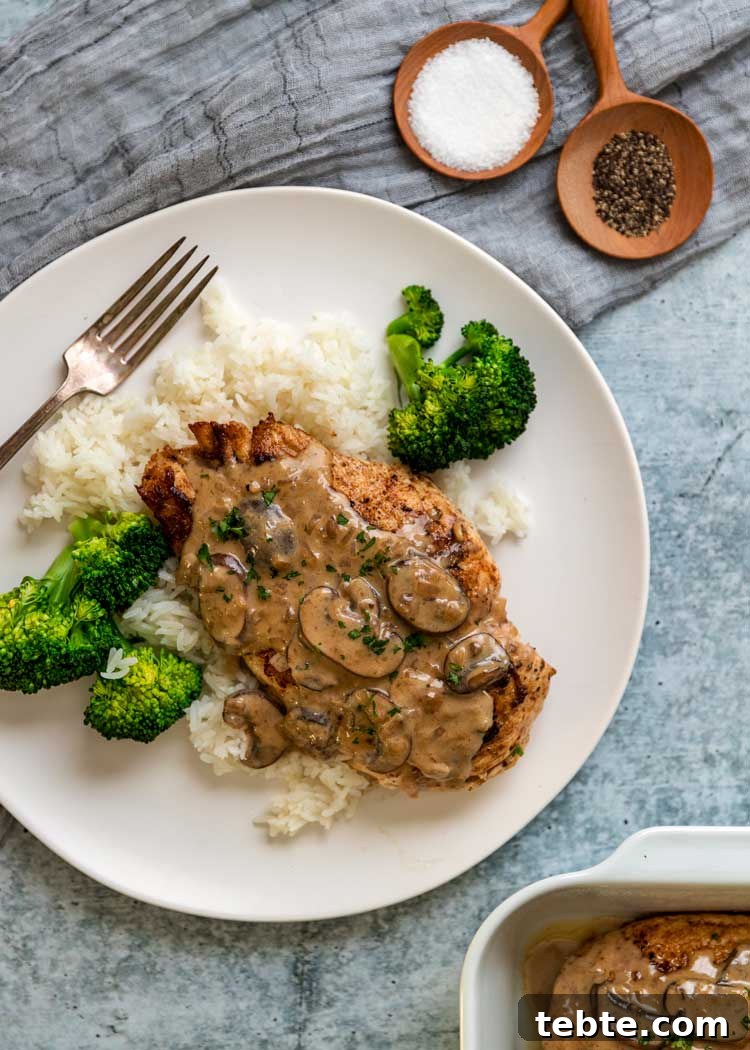 Creamy Chicken Madeira Recipe with Mushrooms and Wine Sauce 3 overhead: a white plate of my chicken madeira recipe with white rice and broccoli