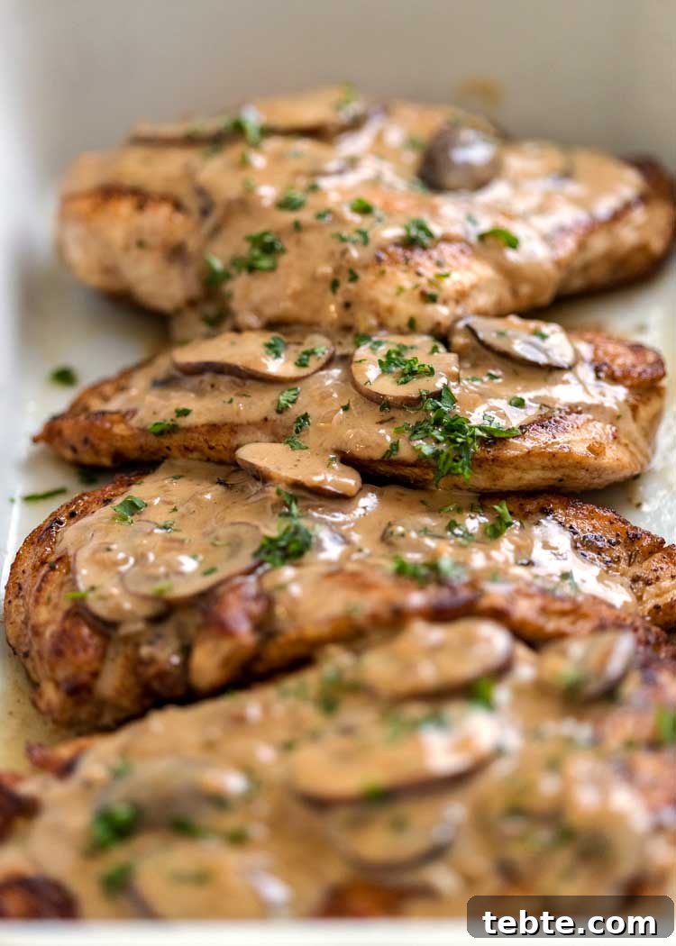 Creamy Chicken Madeira Recipe with Mushrooms and Wine Sauce 4 closeup side view: creamy chicken madeira with mushroom sauce on a white plate