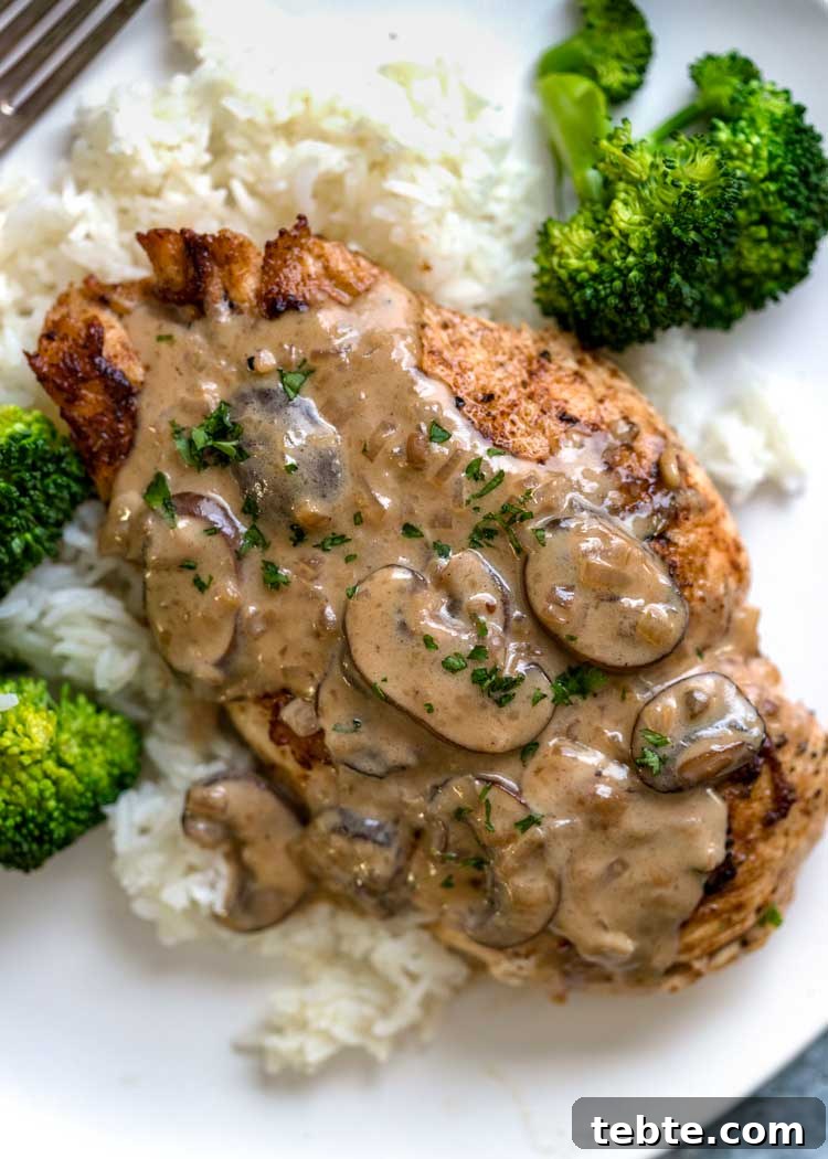 Creamy Chicken Madeira Recipe with Mushrooms and Wine Sauce 5 closeup overhead: chicken madeira with mushroom sauce on a plate with broccoli and white rice