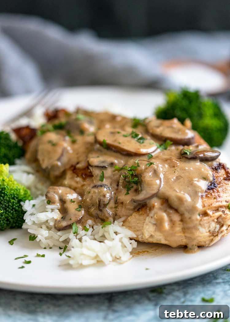 Creamy Chicken Madeira Recipe with Mushrooms and Wine Sauce 6 closeup side view: my chicken madeira recipe with creamy sauce with mushrooms