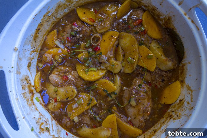Butternut Squash & Apple Chicken Étouffée Recipe for Fall Meals 3 img 5003 2