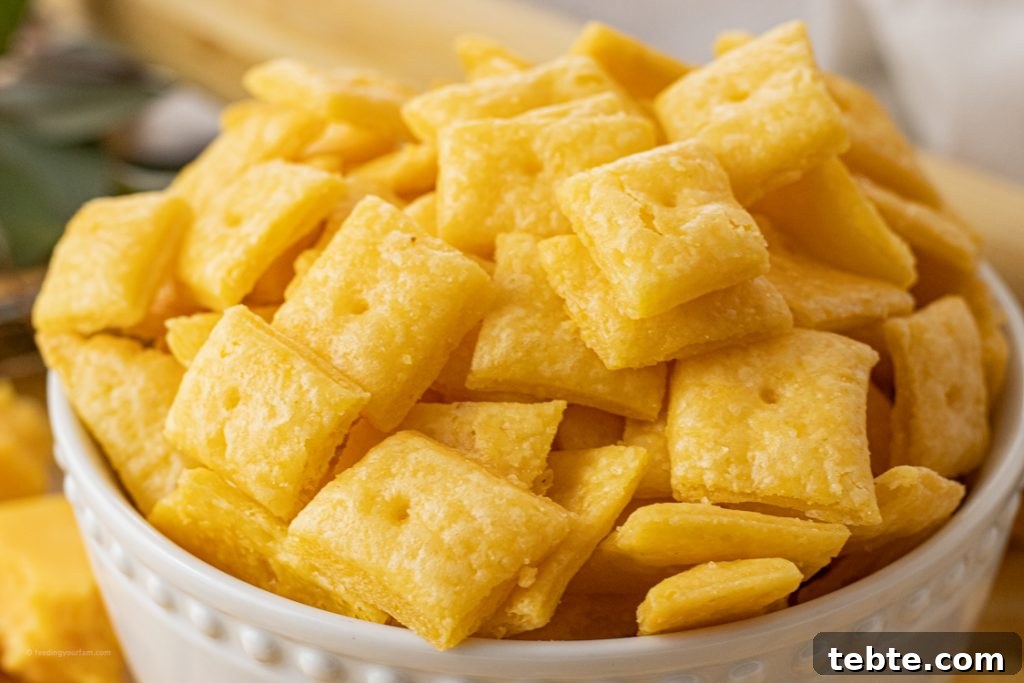 Crispy Homemade Cheese Crackers Recipe for Snack Lovers 6 baked cheesy crackers