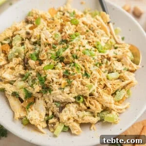 Creamy Curry Chicken Salad Recipe with Crunchy Apples and Almonds 7 Curry chicken salad on plate with spoon.